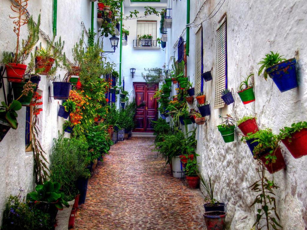 El Patio Dona Julia Lägenhet Casares Exteriör bild
