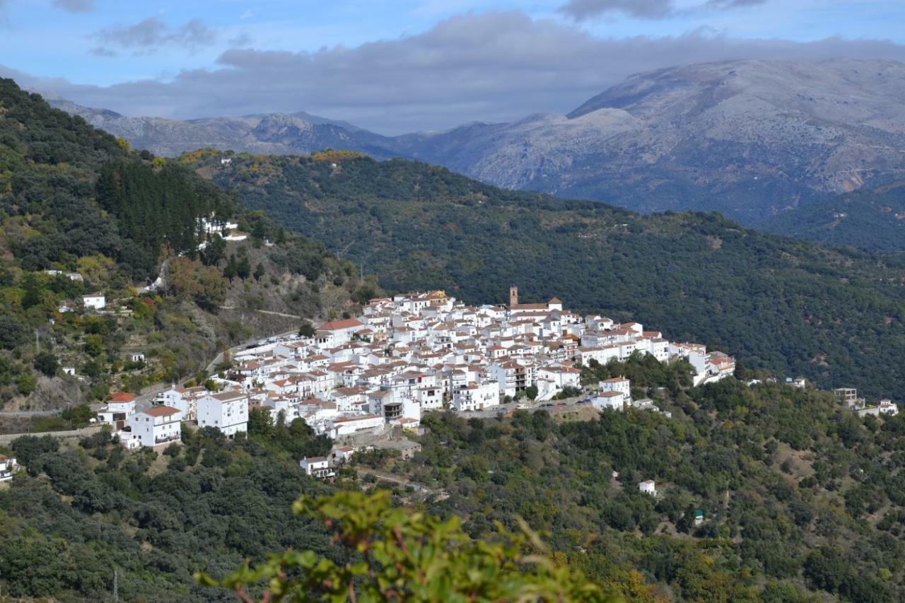 El Patio Dona Julia Lägenhet Casares Exteriör bild