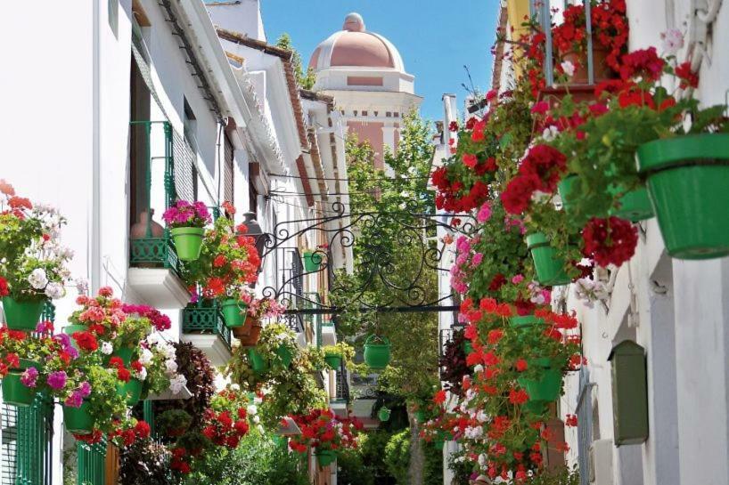El Patio Dona Julia Lägenhet Casares Exteriör bild