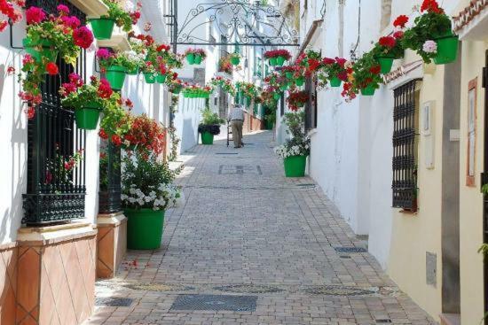 El Patio Dona Julia Lägenhet Casares Exteriör bild